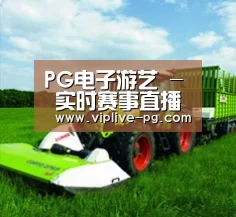 关于PG入口
