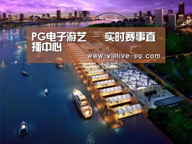 案例展示八