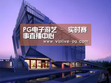 案例展示六