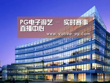 案例展示五