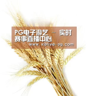 PG电子游艺 - 实时赛事直播中心