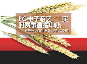 PG电子游艺 - 实时赛事直播中心