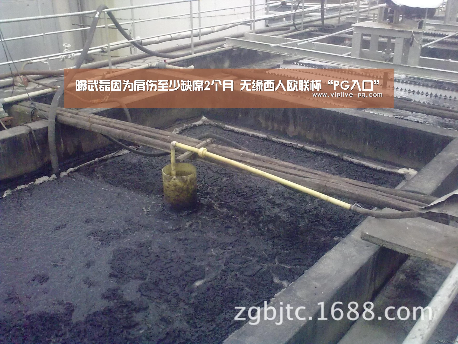 PG亚洲体育