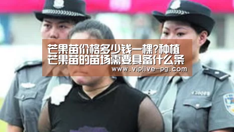 PG足球