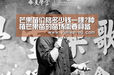 PG入口